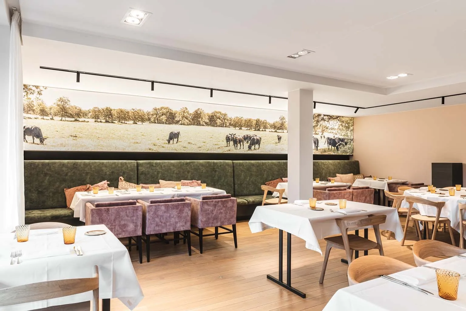 De zaal van Argendael: lange gedekte tafels met mauve stoelen langs de groene bank, onder de wandfoto van de runderen