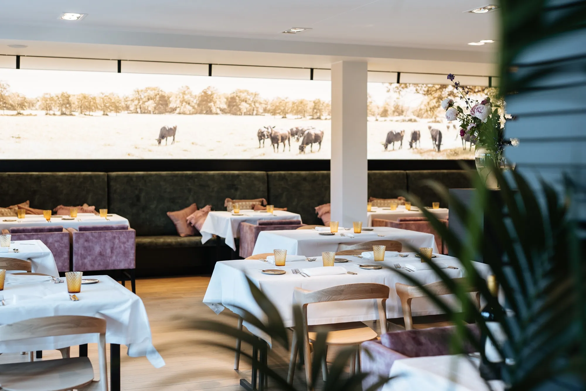 De zaal van Argendael: gedekte tafels met wit linnen, een groene bank en de wandfoto van de Black Angus-runderen